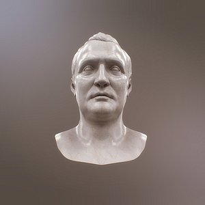 Napoleon Bonapart Bust