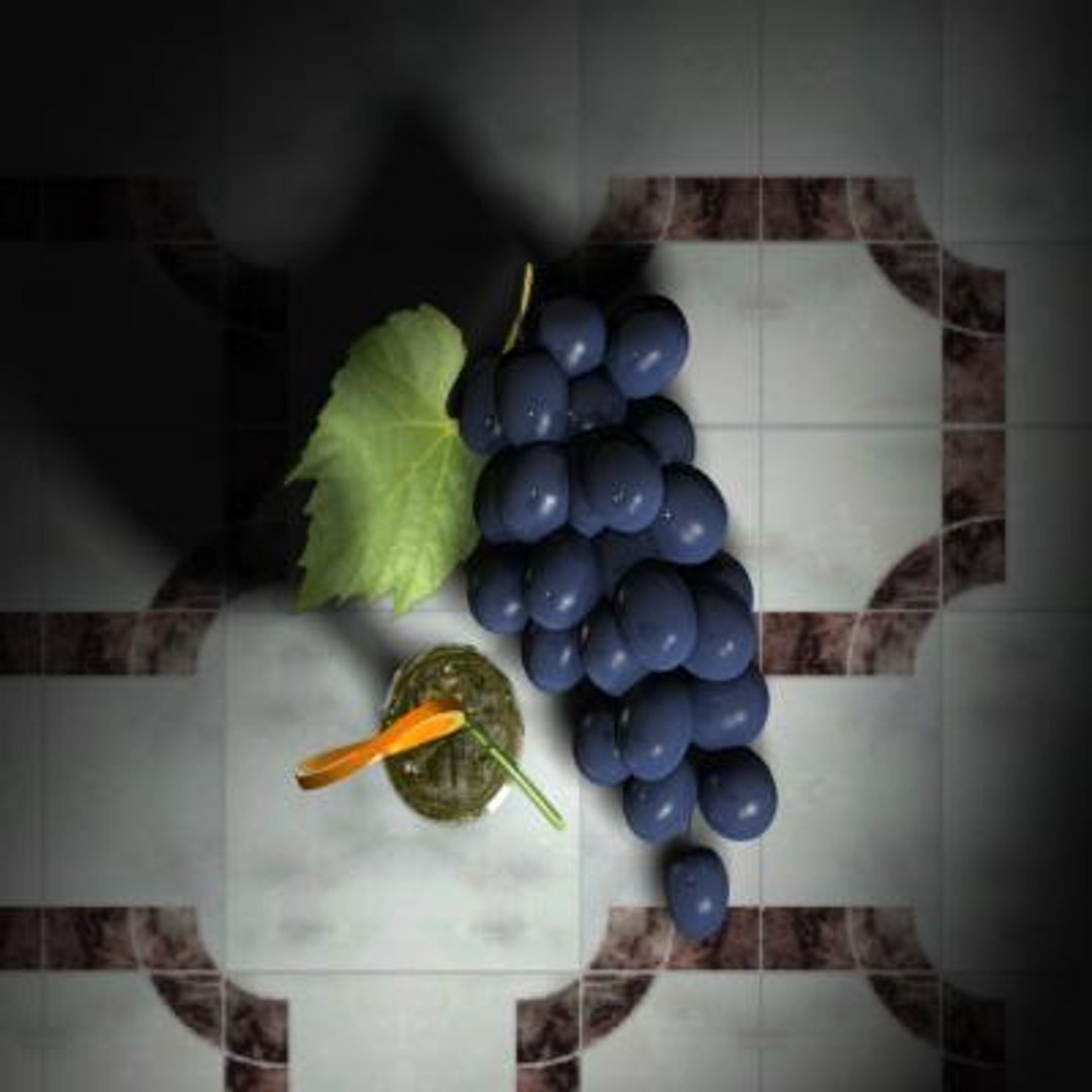 3d model vine https://p.turbosquid.com/ts-thumb/bI/tRKRVO/ejR7bK0a/vine_thumbnail3/jpg/1049273794/1920x1080/fit_q87/6da35684e6a4af7f9843be41abb333c7bcc57bda/vine_thumbnail3.jpg