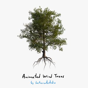 3D model Animated Pecan Tree