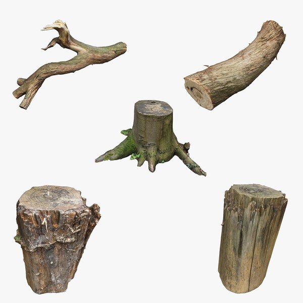 Tree TrunkStump Collection 05 3D model