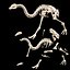 3D MOA Little Bush Moa Skeleton model