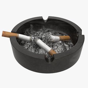 Ashtray Used