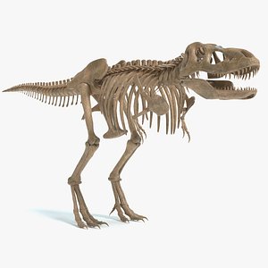 T-Rex Skeleton