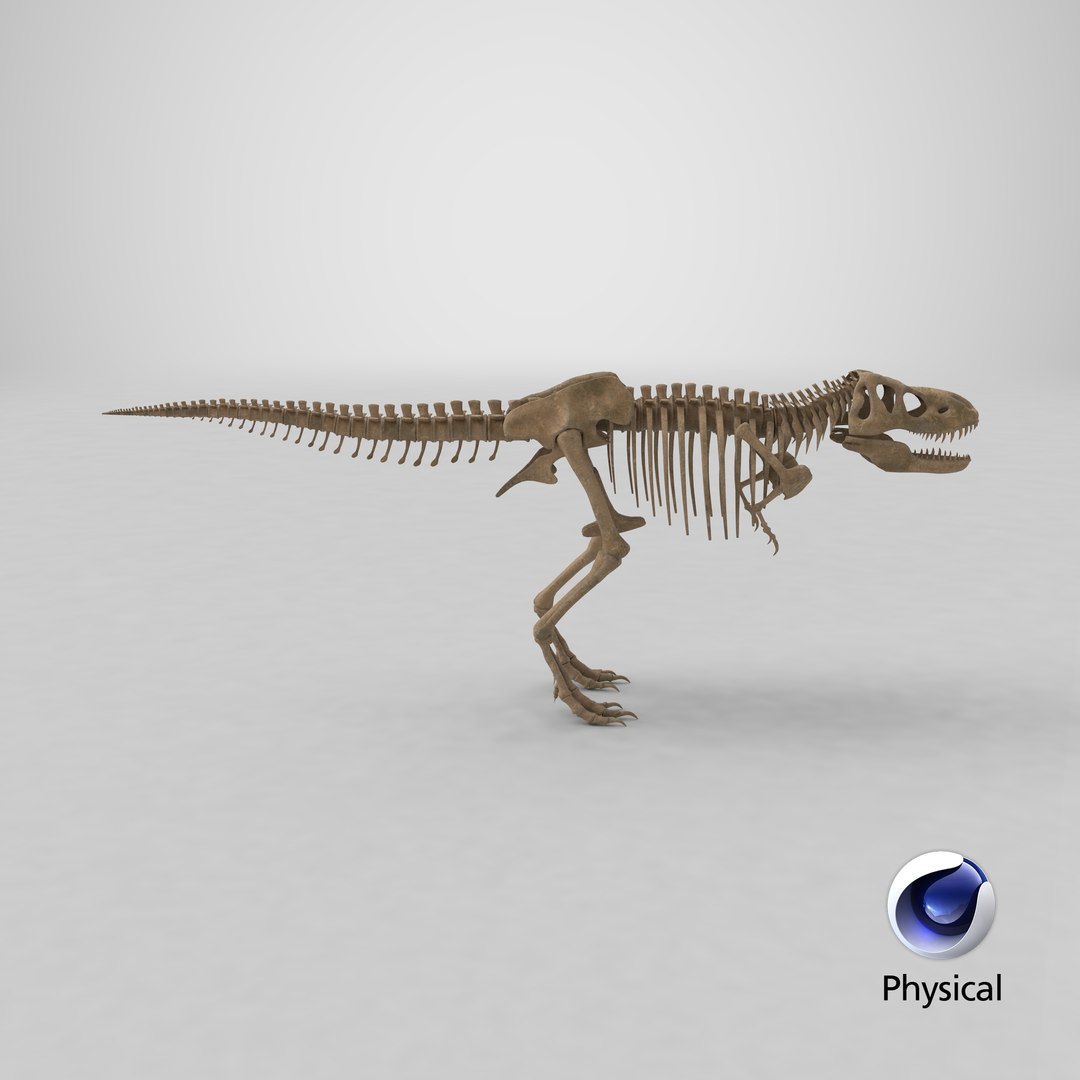 3D tyrannosaurus skeleton - TurboSquid 1269368