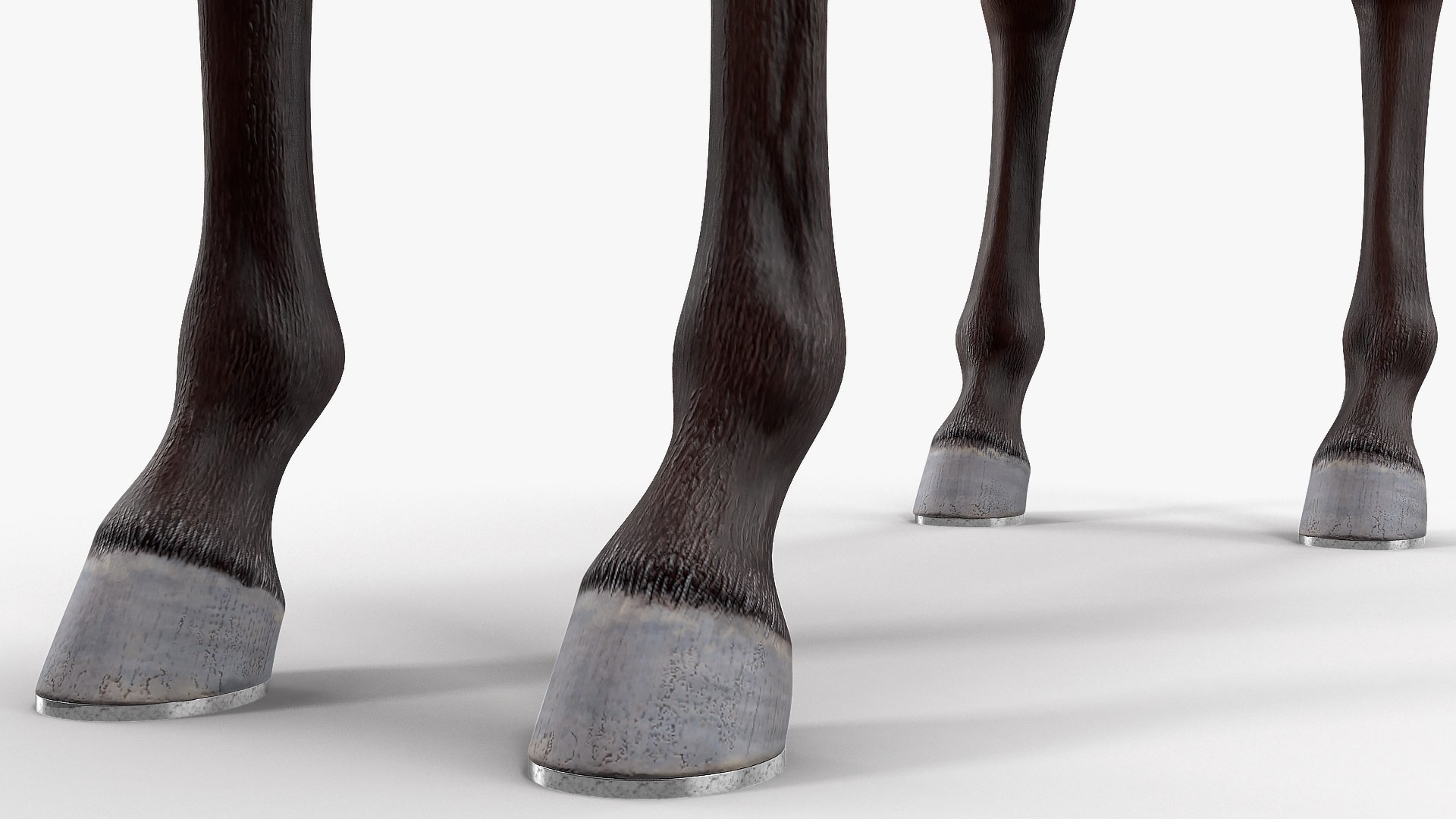 bay racehorse animal horse 3D model https://p.turbosquid.com/ts-thumb/bJ/ehD3qG/03RXH8KC/bayracehorserigged3dsmodel014/jpg/1572542226/1920x1080/fit_q87/3187d5fd0329cba833c6c71038b4524cd07f0cc5/bayracehorserigged3dsmodel014.jpg