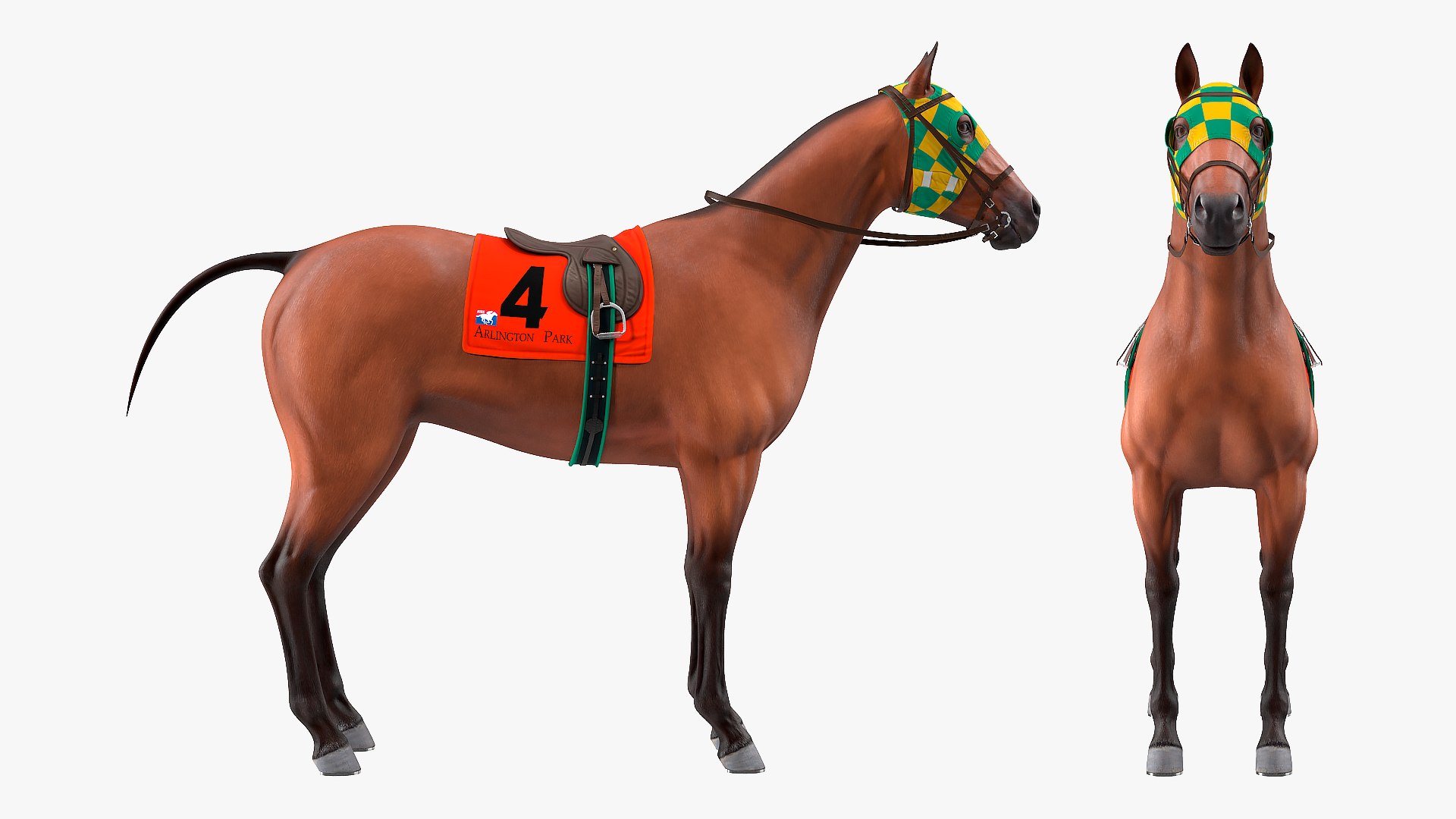 bay racehorse animal horse 3D model https://p.turbosquid.com/ts-thumb/bJ/ehD3qG/3twCqtzY/bayracehorserigged3dsmodel006/jpg/1572542169/1920x1080/fit_q87/b176221c3c6a5cf13dfc4f14b49fed0e6ace6e98/bayracehorserigged3dsmodel006.jpg
