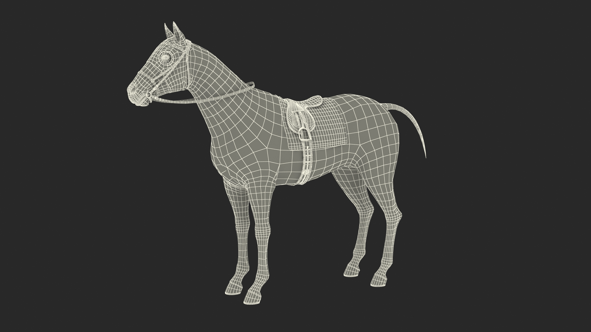 bay racehorse animal horse 3D model https://p.turbosquid.com/ts-thumb/bJ/ehD3qG/7C79MrSb/bay_racehorse_rigged_361/jpg/1572541791/1920x1080/turn_fit_q99/cc27c98ed9c124c666202a8d0cd40cd4e65c12de/bay_racehorse_rigged_361-1.jpg