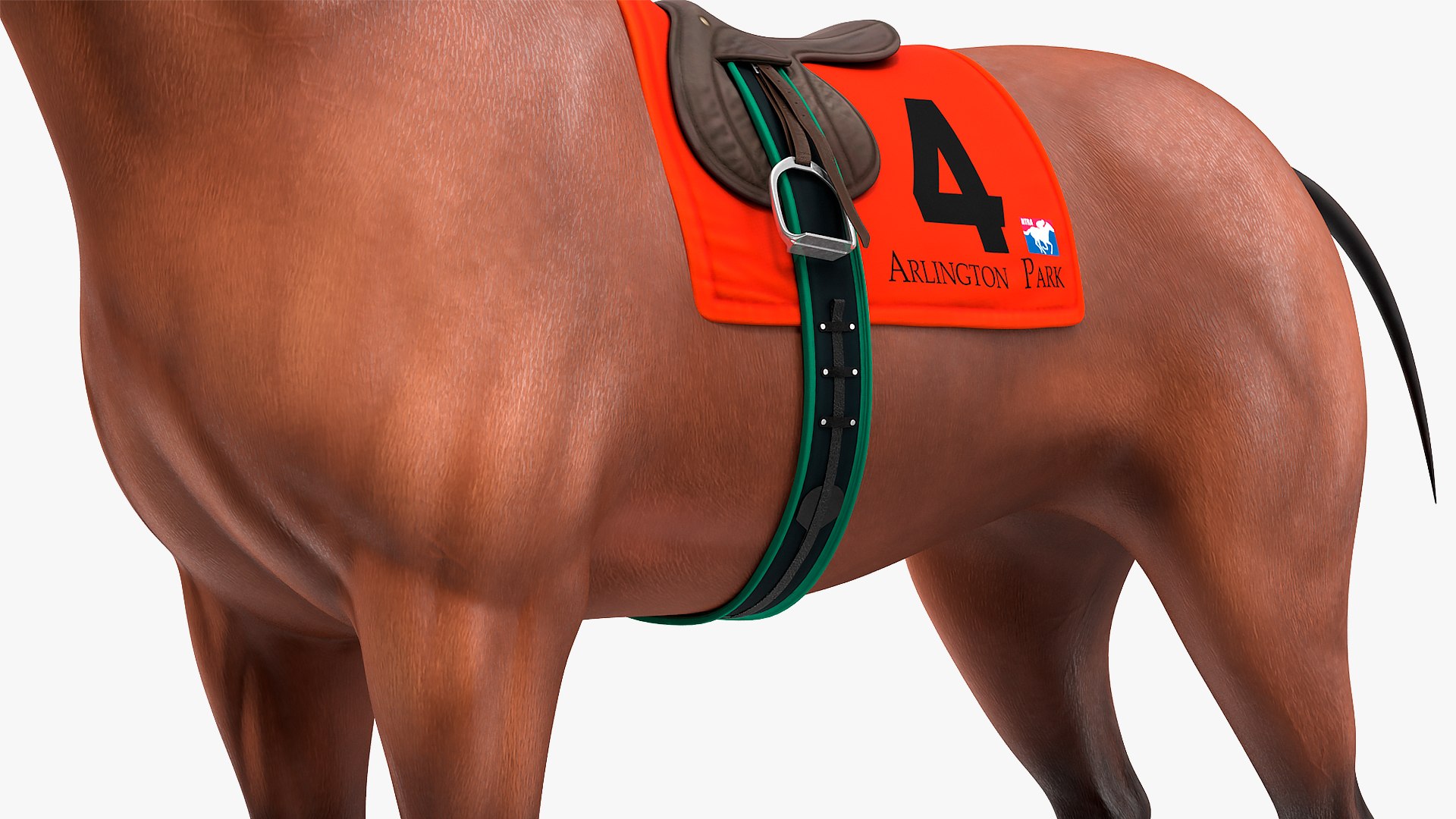 bay racehorse animal horse 3D model https://p.turbosquid.com/ts-thumb/bJ/ehD3qG/C114wLBX/bayracehorserigged3dsmodel012/jpg/1572542213/1920x1080/fit_q87/bfea481d3b27f329e69d2e801cc35d6496ef141f/bayracehorserigged3dsmodel012.jpg