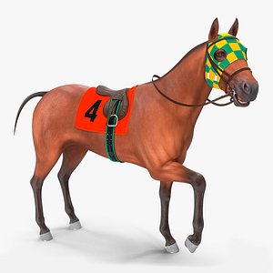 bay racehorse animal horse 3D model