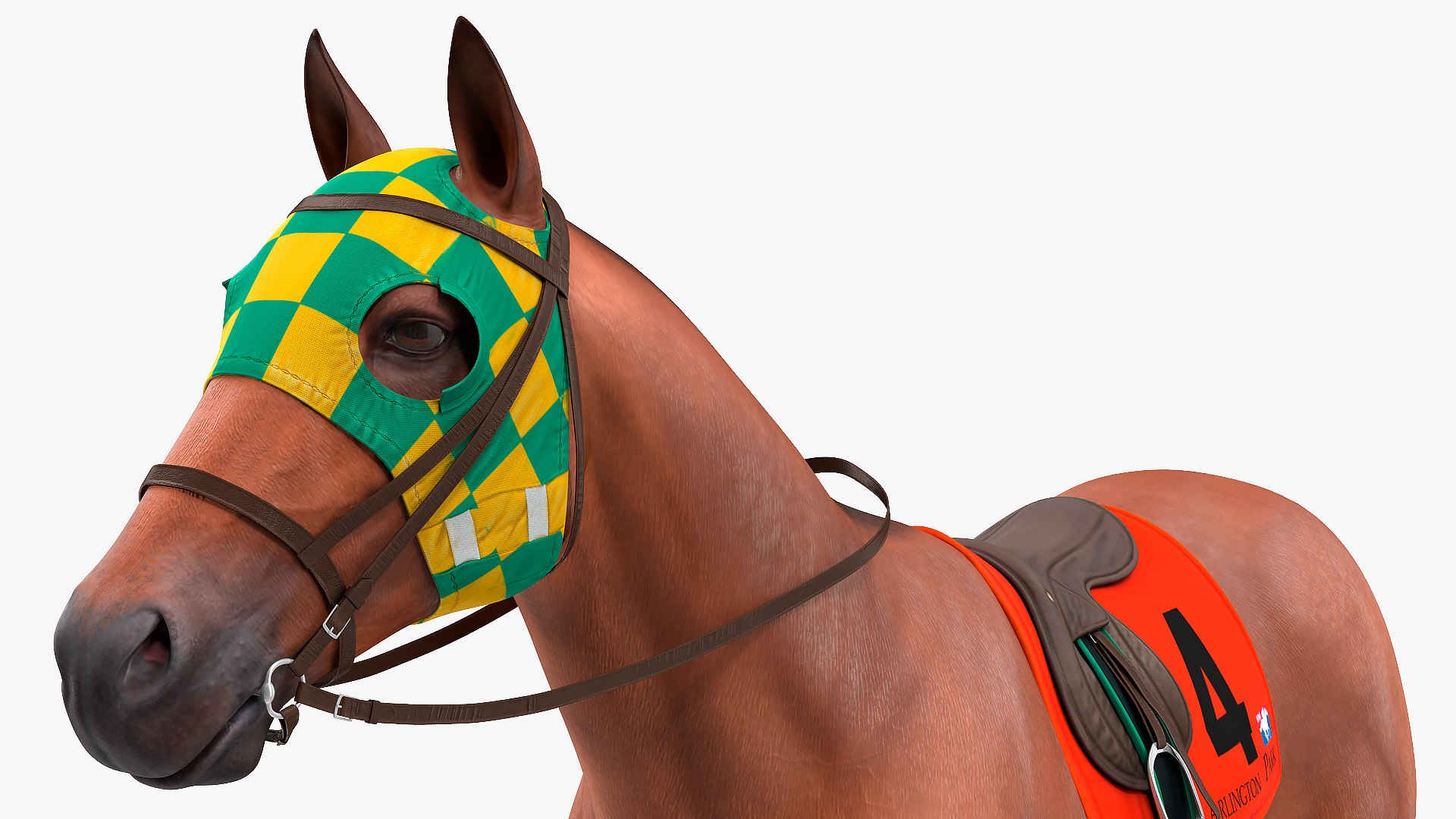 bay racehorse animal horse 3D model https://p.turbosquid.com/ts-thumb/bJ/ehD3qG/PTR99r22/bayracehorserigged3dsmodel010/jpg/1572542188/1920x1080/fit_q87/b5aff716b57bc2ce5a1cb9805de62c3e350e92a9/bayracehorserigged3dsmodel010.jpg