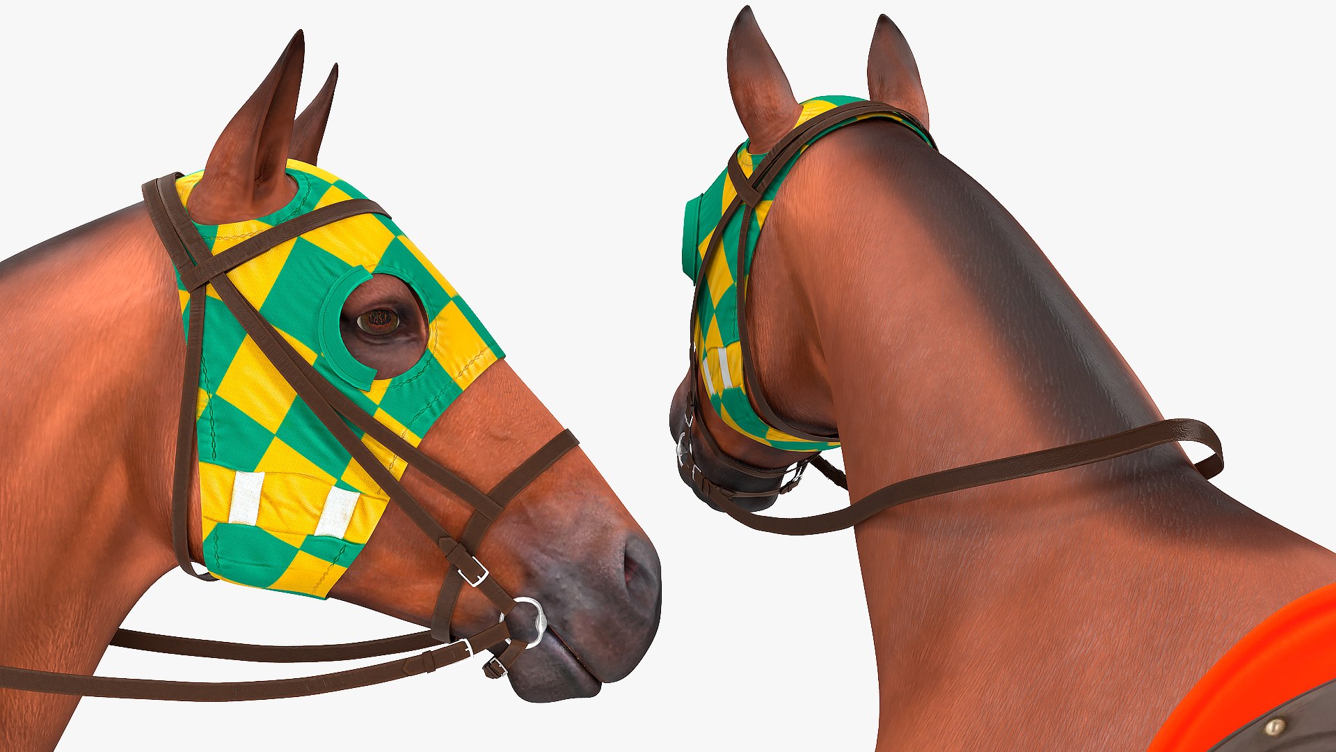 bay racehorse animal horse 3D model https://p.turbosquid.com/ts-thumb/bJ/ehD3qG/R70KGcmp/bayracehorserigged3dsmodel015/jpg/1572542232/1920x1080/fit_q87/af9fbb8f50920eff6323df7a4b824defdb161e1f/bayracehorserigged3dsmodel015.jpg