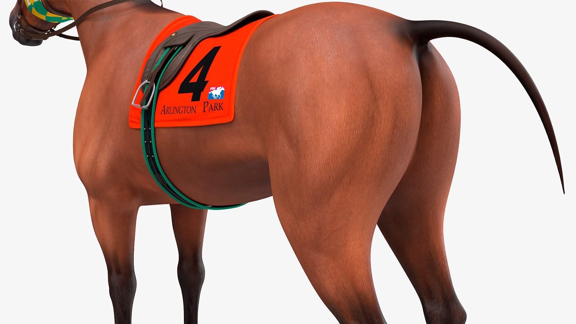 bay racehorse animal horse 3D model https://p.turbosquid.com/ts-thumb/bJ/ehD3qG/TcYHWnpF/bayracehorserigged3dsmodel011/jpg/1572542195/1920x1080/fit_q87/b3bccb88c0f268ef15bd8f660008e6b91c648002/bayracehorserigged3dsmodel011.jpg