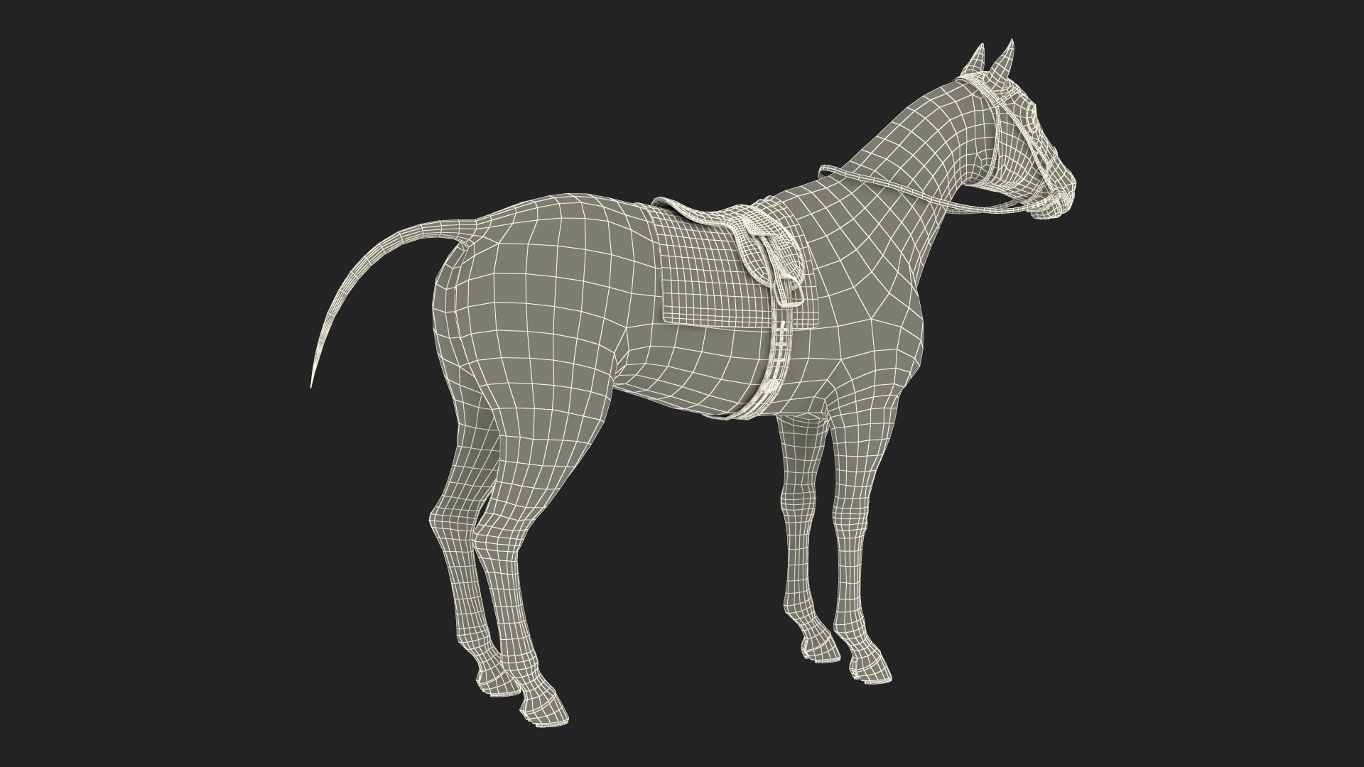 bay racehorse animal horse 3D model https://p.turbosquid.com/ts-thumb/bJ/ehD3qG/fDrYuOAI/bayracehorserigged3dsmodel025/jpg/1572542288/1920x1080/fit_q87/92bd5995072df1be2d01518657b7ea1f448b641c/bayracehorserigged3dsmodel025.jpg