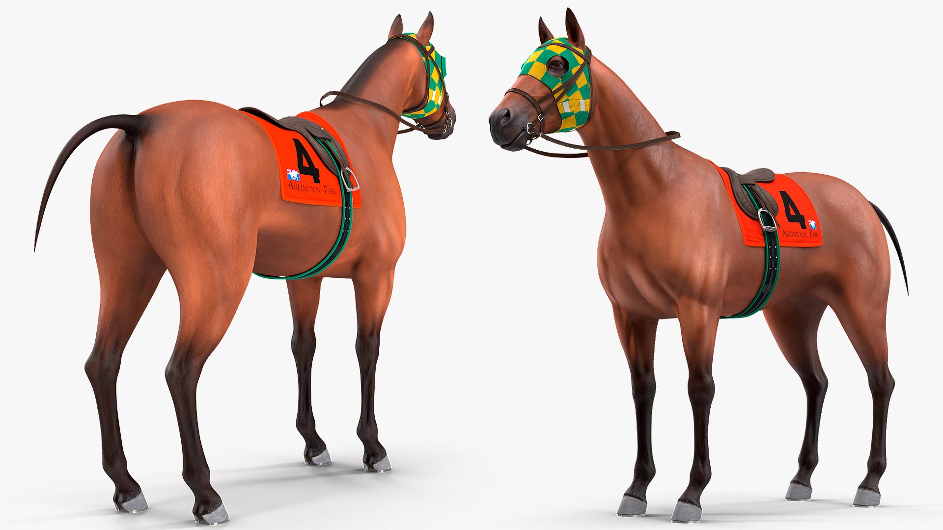 bay racehorse animal horse 3D model https://p.turbosquid.com/ts-thumb/bJ/ehD3qG/gdNfUgKE/bayracehorserigged3dsmodel005/jpg/1572542164/1920x1080/fit_q87/6730cb833b45f98cd861fb4a56e1240577bb336e/bayracehorserigged3dsmodel005.jpg