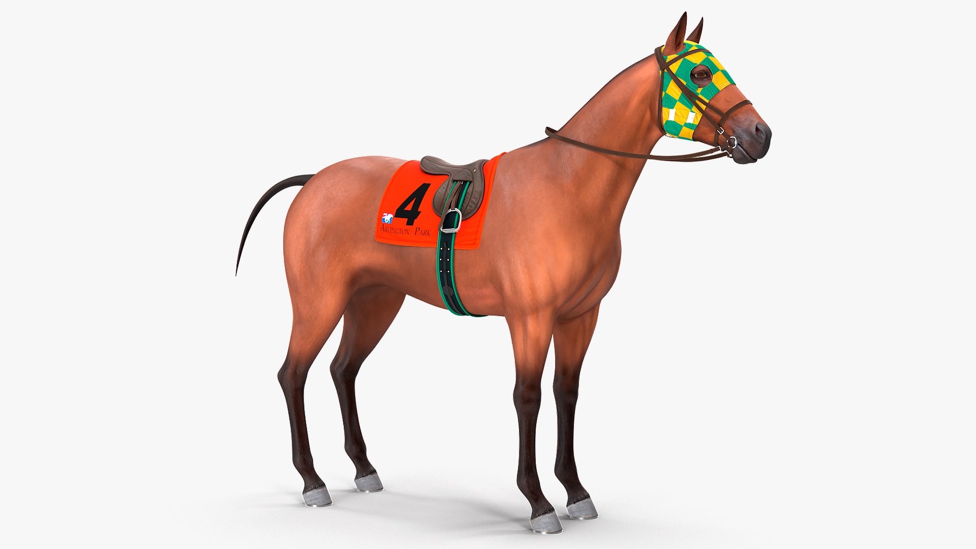 bay racehorse animal horse 3D model https://p.turbosquid.com/ts-thumb/bJ/ehD3qG/ipdnjBdb/bayracehorserigged3dsmodel003/jpg/1572542154/1920x1080/fit_q87/a529e337bb0576b99d4301d0091103f1e0ee0423/bayracehorserigged3dsmodel003.jpg