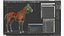 Bay Racehorse Rigged