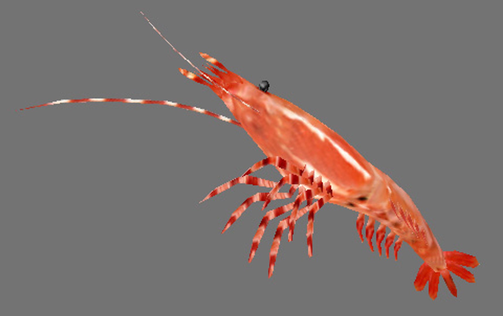 pacificprawn games 3d model https://p.turbosquid.com/ts-thumb/bJ/gX8SAJ/ksjXNvUt/img3/jpg/1280610176/1920x1080/fit_q87/be2ddc78742332ca06f3366774a2f7e18aab1d29/img3.jpg