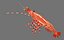 Pacificprawn