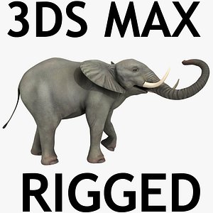 Elephant Rigged