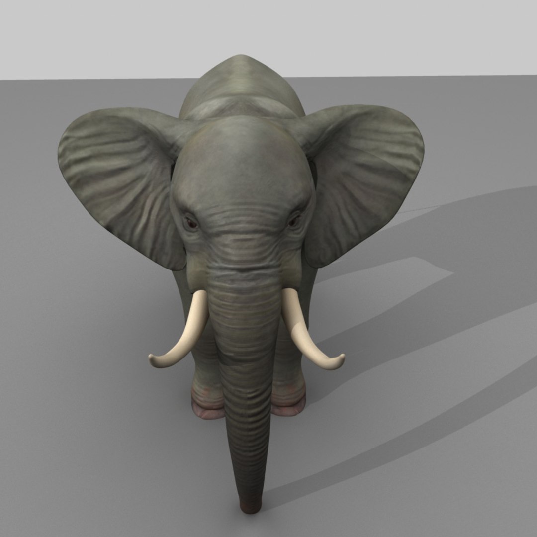 Elephant Rigged Max