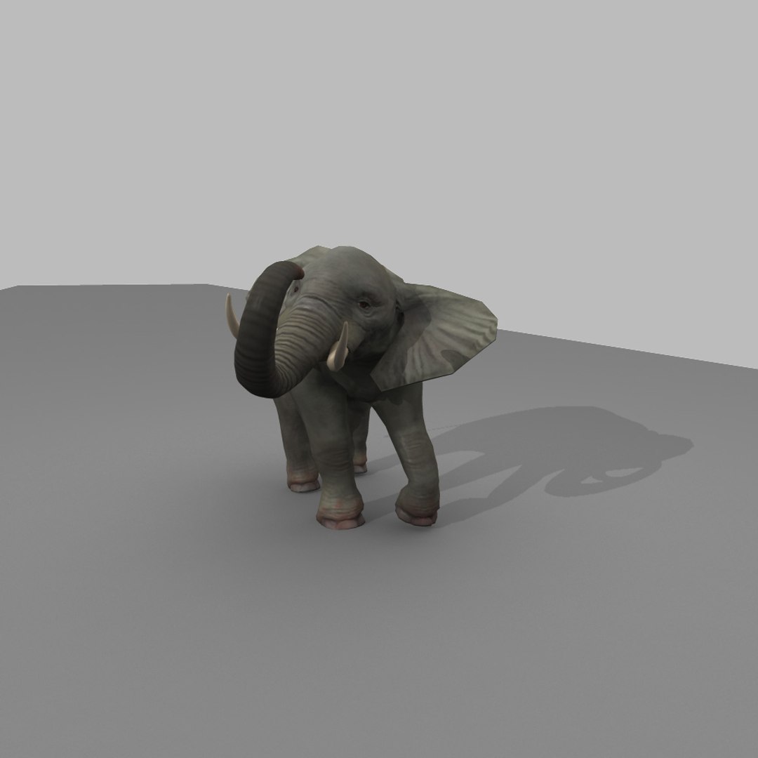 Elephant Rigged Max