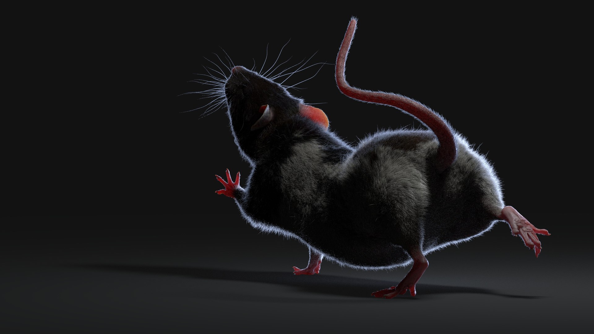 Rats rigged 3D model - TurboSquid 1503848