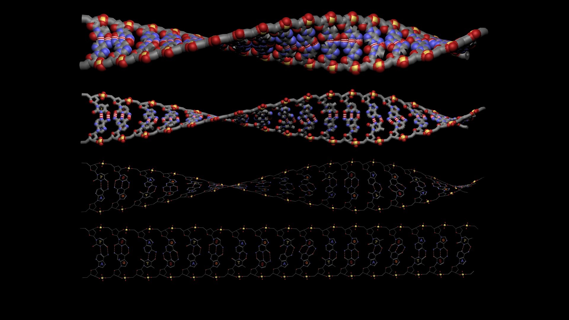 DNA 3D Model - TurboSquid 2301184