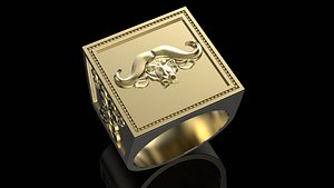 buffalo ring 3D model