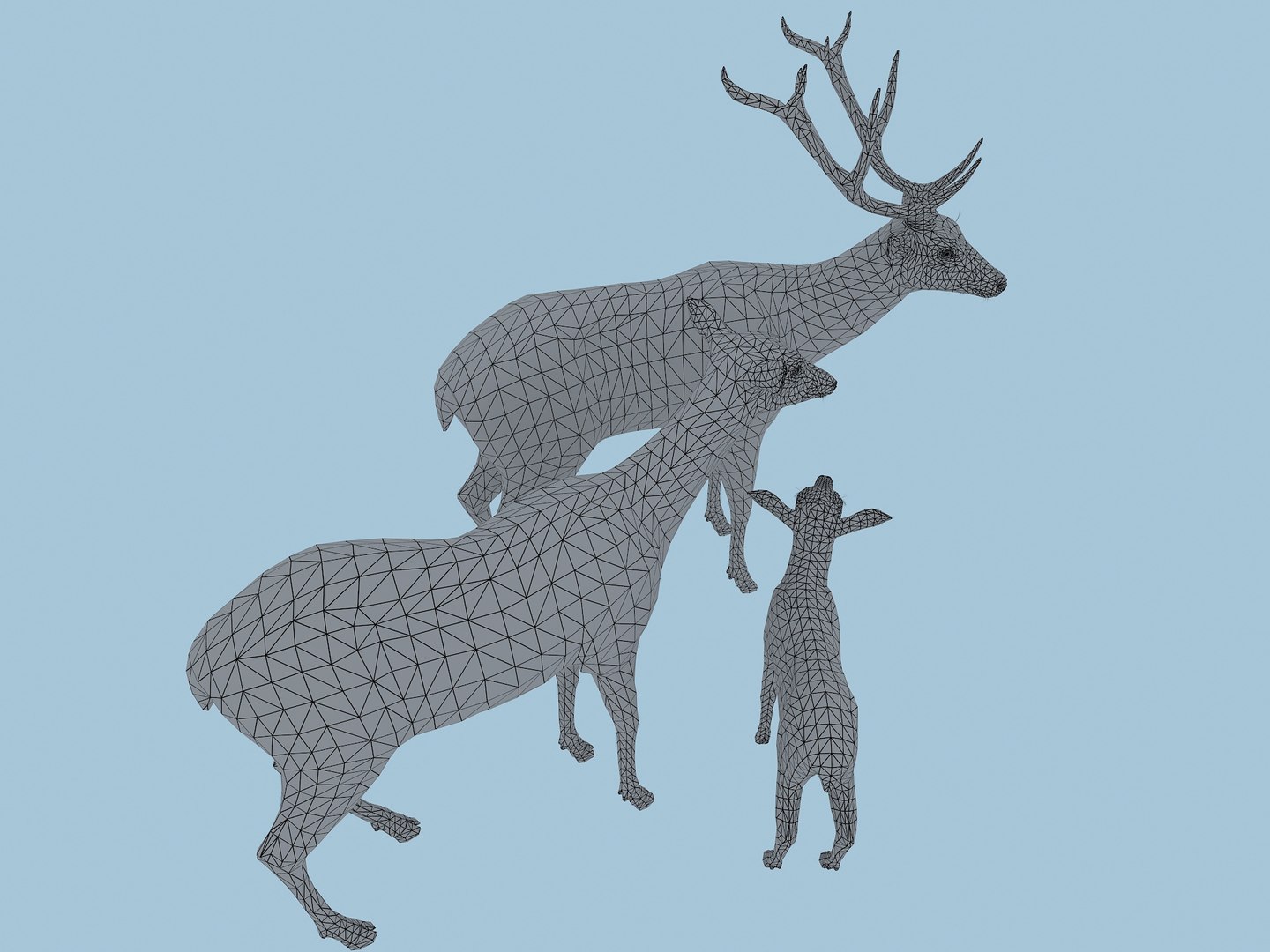 3D The Sika Deer Family https://p.turbosquid.com/ts-thumb/bJ/xGIRZ1/Bv/10/jpg/1751254036/1920x1080/fit_q87/9248f5d374e40370c7c97c13bc5d9e5bac8a62e3/10.jpg