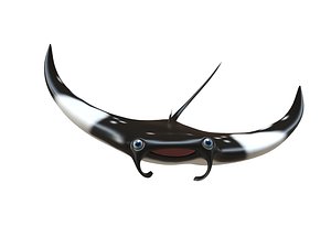 3D giant oceanic manta fish toon model