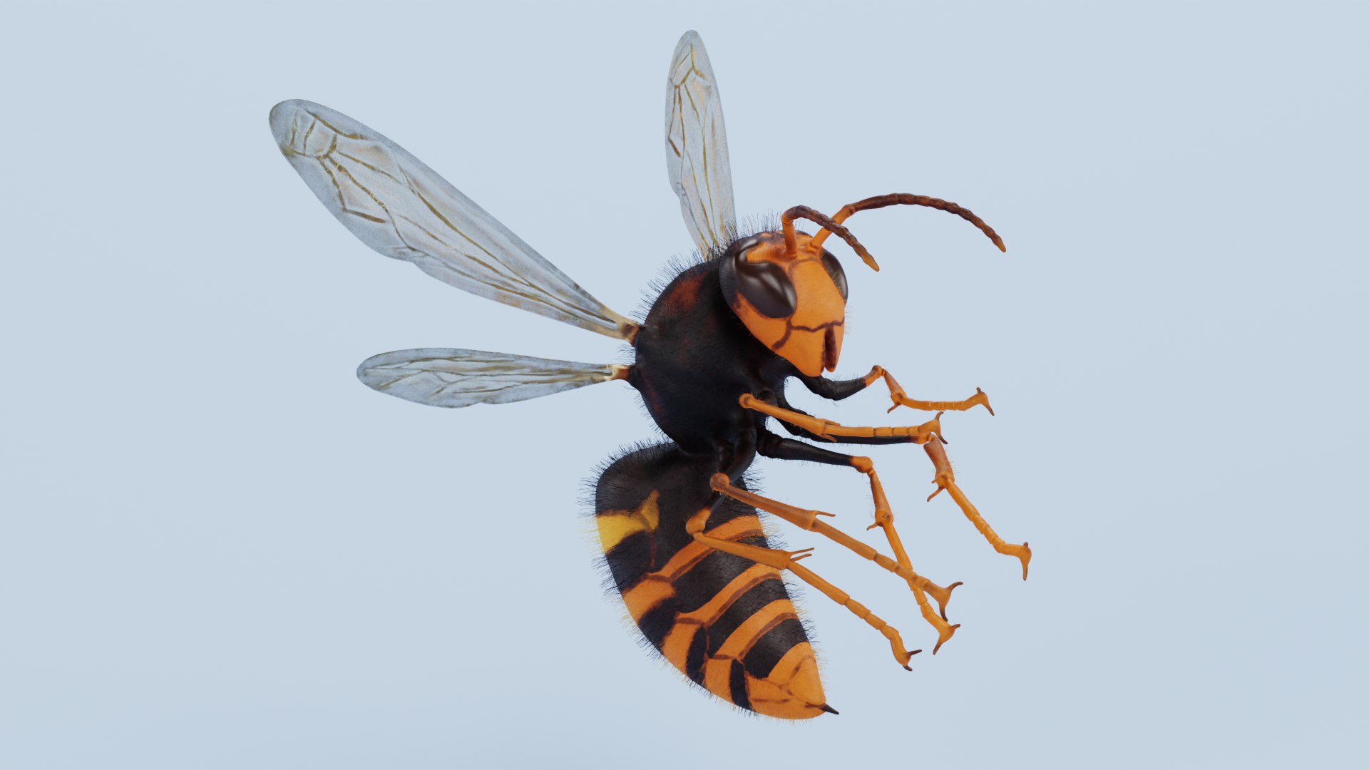 3D Insect - Huge Collection https://p.turbosquid.com/ts-thumb/bK/Ov5VwW/dN/asianhornetriggedb/png/1786508056/1920x1080/fit_q87/5e0087ada8f380495de84867305ddc483674842f/asianhornetriggedb.jpg