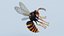 3D Asian Giant Hornet Rigged