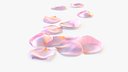 Realistic Rose Petals 3D Model - Ultra-High Quality 4K PBR Asset