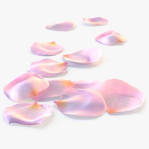 3D Realistic Rose Petals 3D Model - Ultra-High Quality 4K PBR Asset model