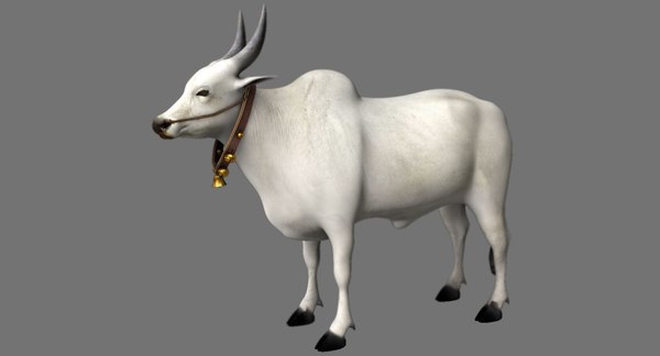 3D bull model