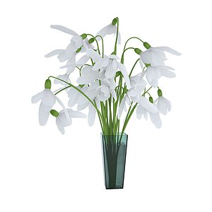 3d snowdrop
