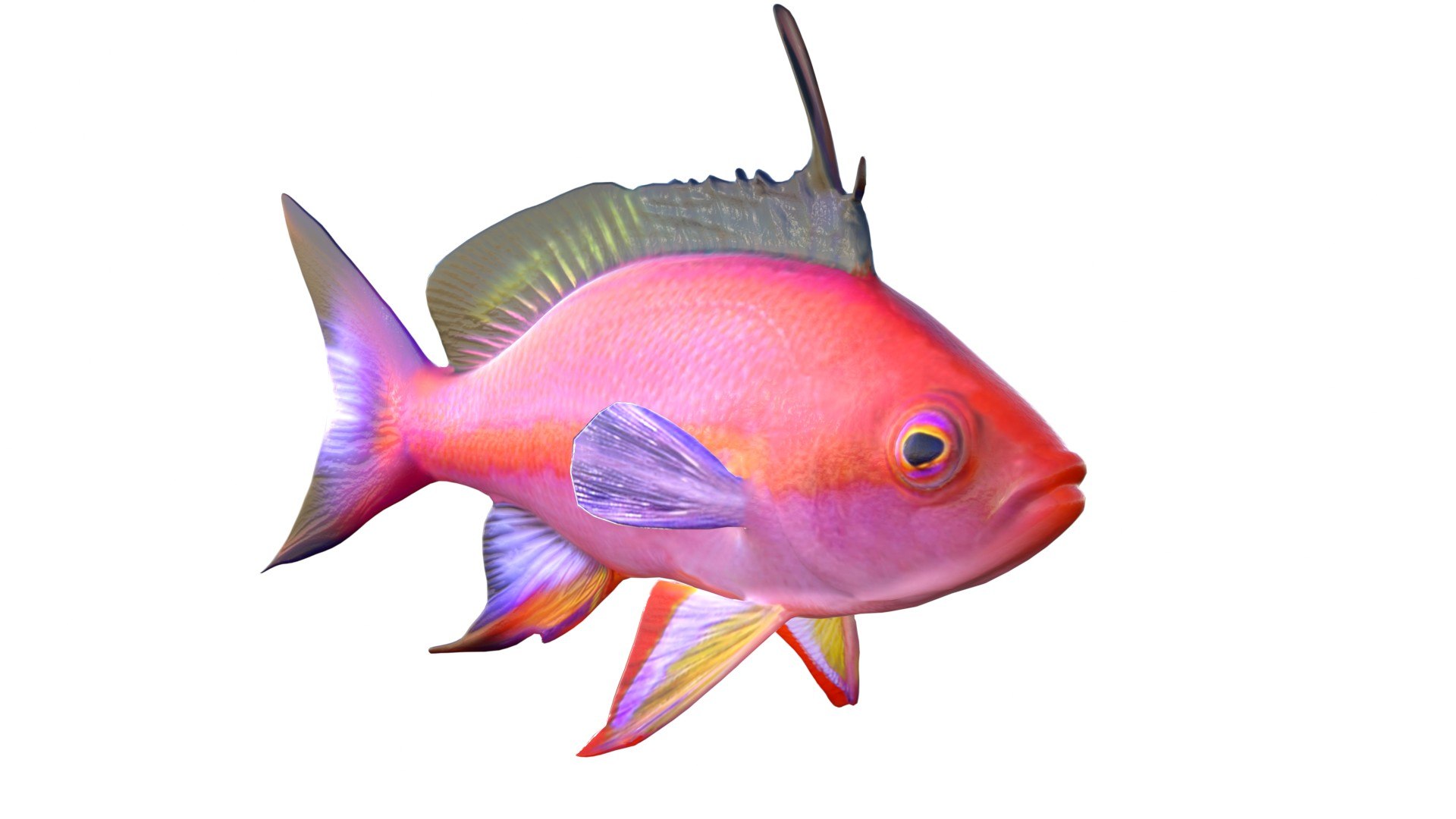 3D 50 Fish Sea Creature Collection v3 https://p.turbosquid.com/ts-thumb/bK/f0yhWn/dy/1/jpg/1774420296/1920x1080/fit_q87/313e6a61f25eb7517cde816d178cafe8ef3587b6/1.jpg