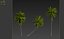 3D model Coconut palm