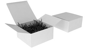 Crinkle Paper Gift Box PBR 1