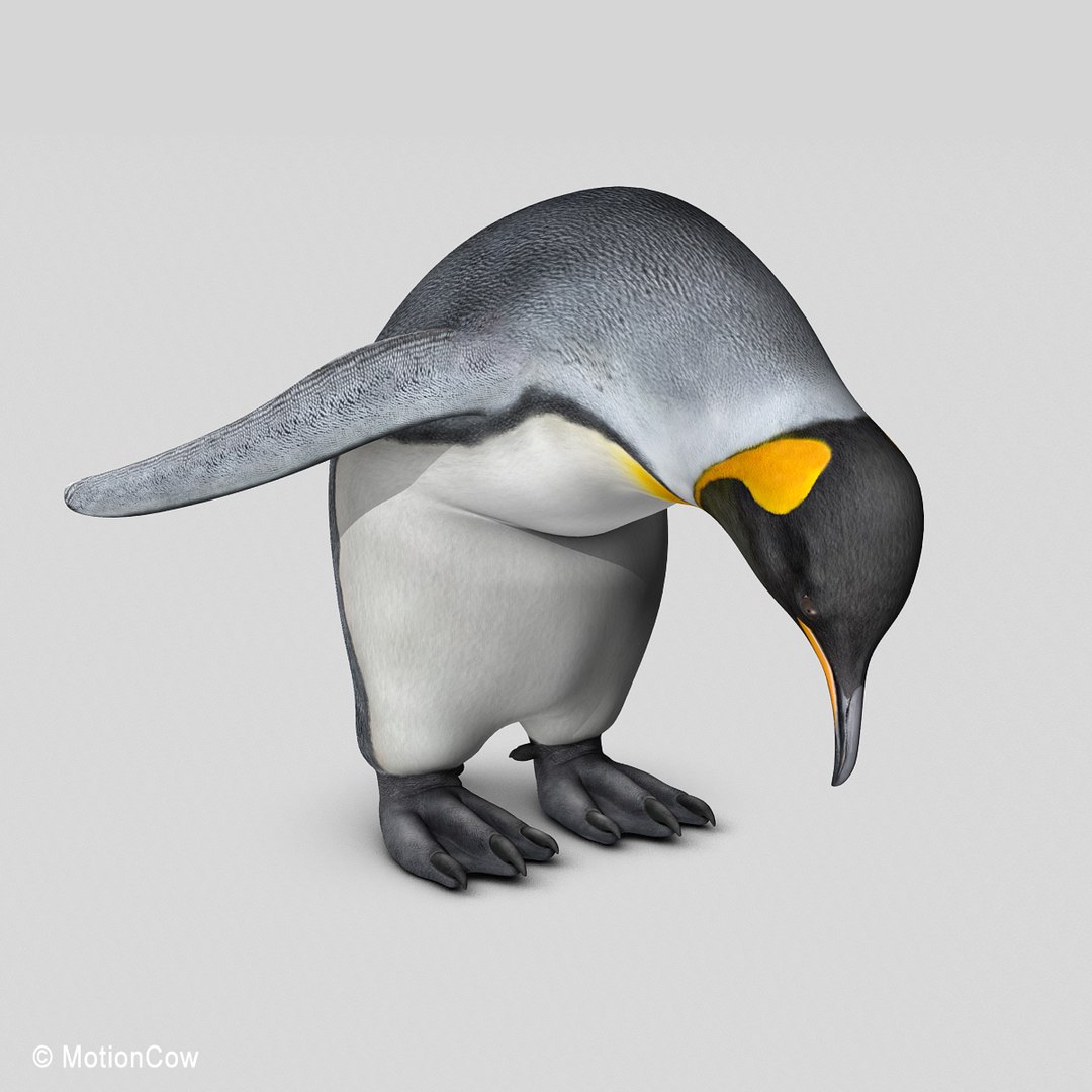 king penguin 3d max https://p.turbosquid.com/ts-thumb/bK/tdjFwk/90LqDixf/king_penguin_pose_f1/jpg/1361269237/1920x1080/fit_q87/b811bcc2051983f7fa9688be6e1bda1c80440257/king_penguin_pose_f1.jpg