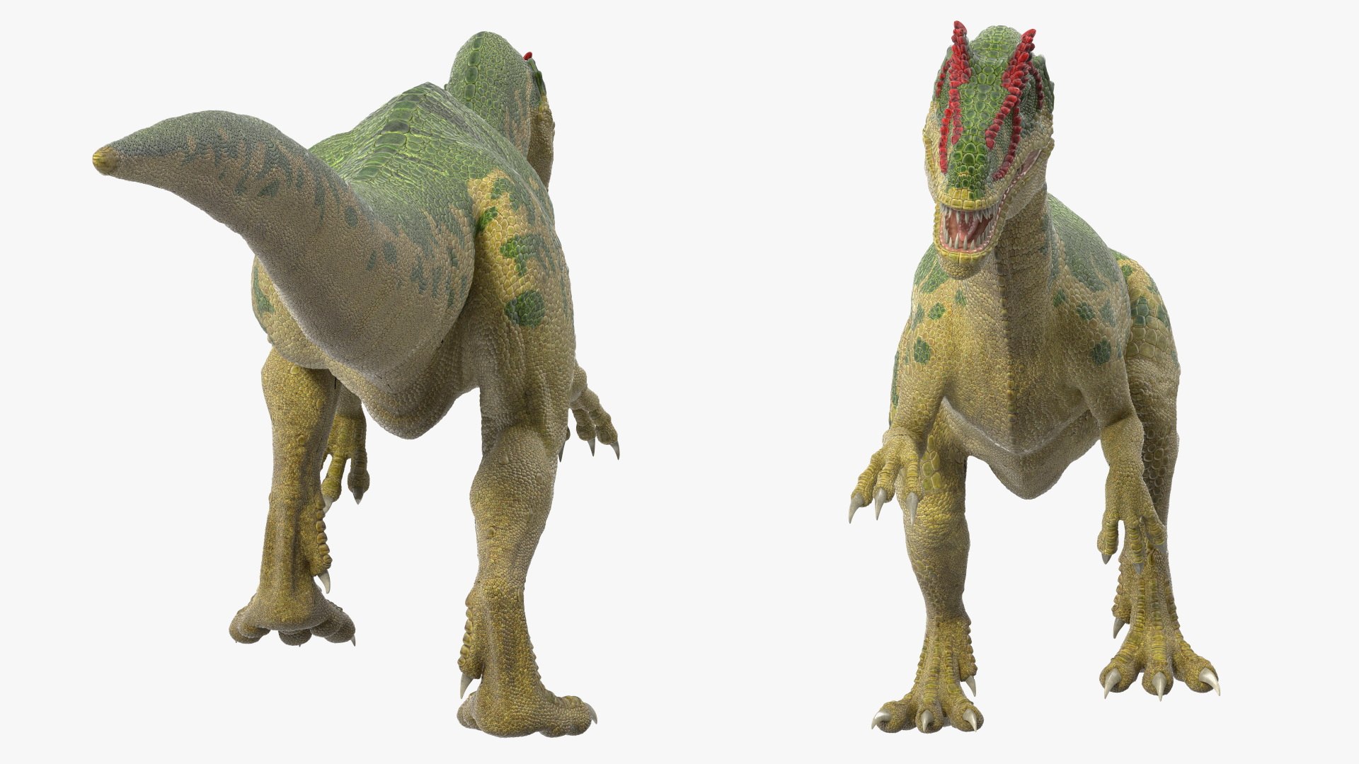 Allosaurus Running 3D model - TurboSquid 2161045