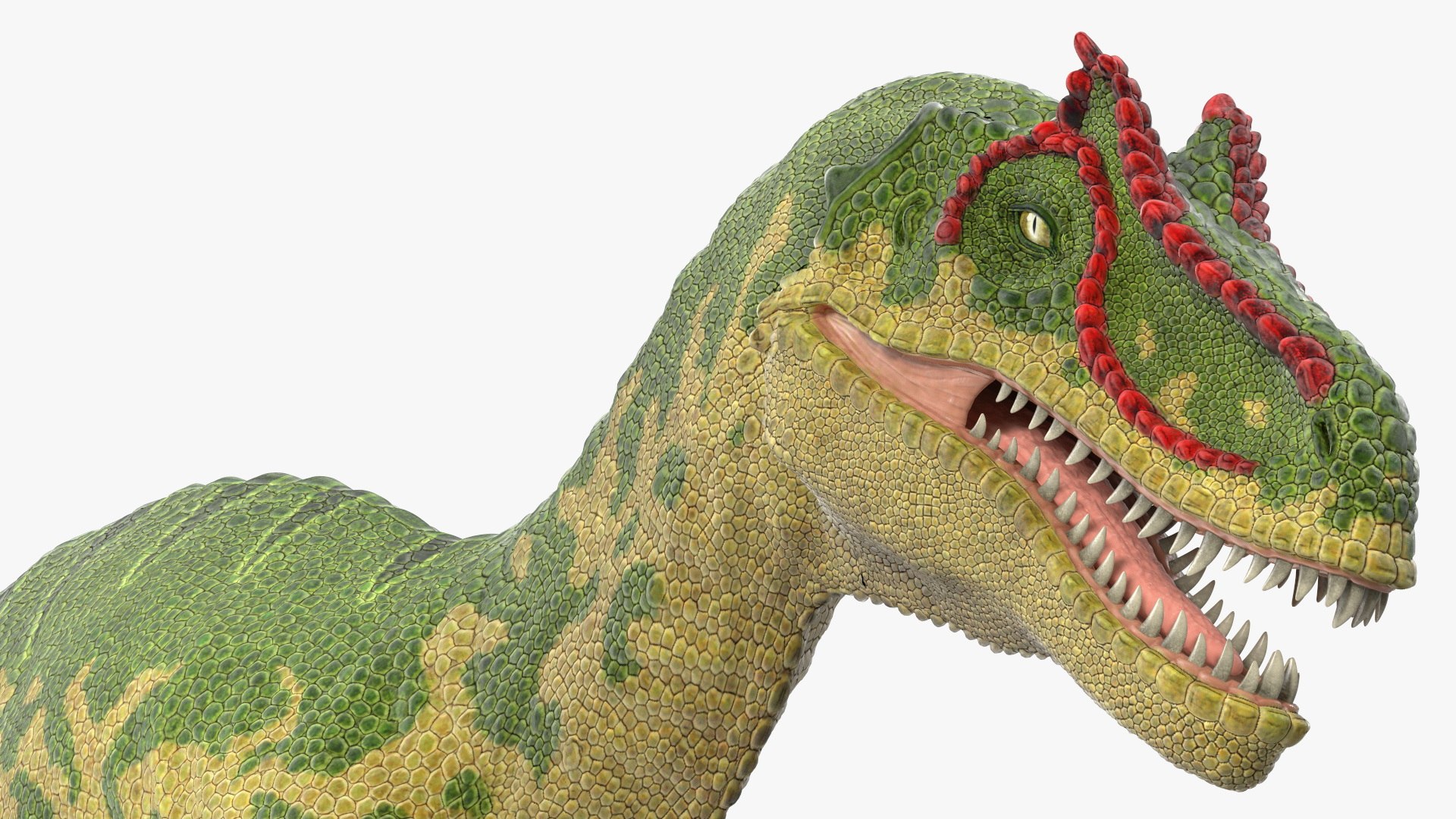 Allosaurus Running 3D model - TurboSquid 2161045