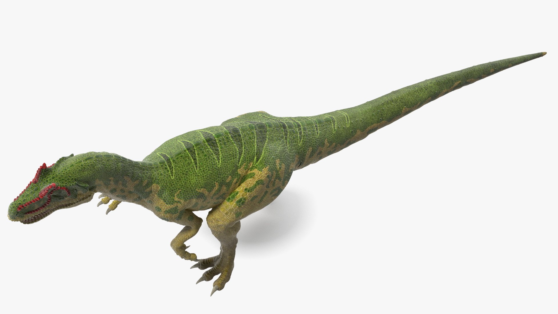 Allosaurus Running 3D model - TurboSquid 2161045