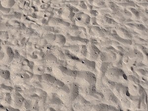 beach sand scan model