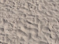 Beach Sand Scan
