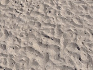 Beach Sand Scan