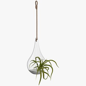 hanging terrarium 02 3D