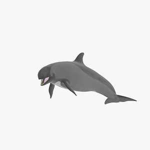 3D False Killer Whale