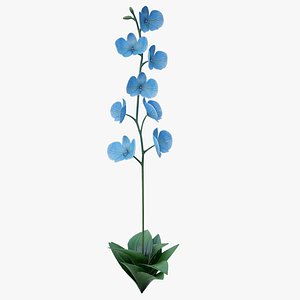 Orchid Blue