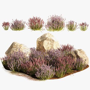 Alpine Slide With Lavender Bushes Sage And Stones 1191 3D